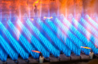 Glyn gas fired boilers